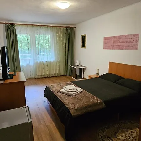 Pensiunea Flora Cârțișoara Exterior photo