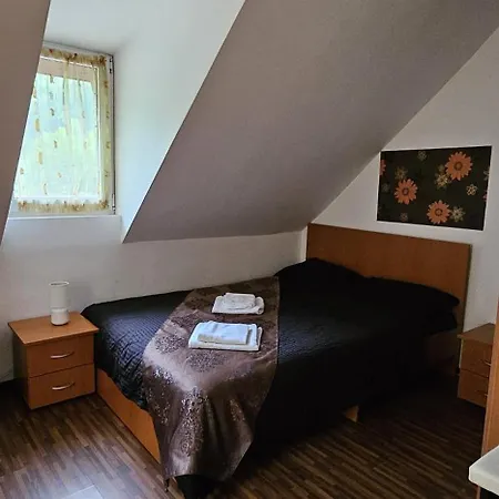 Pensiunea Flora Cârțișoara Room photo