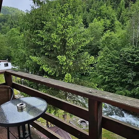 Pensiunea Flora Cârțișoara Exterior photo